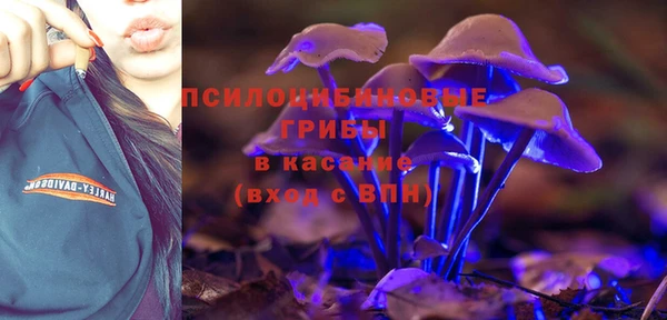 mdpv Балахна